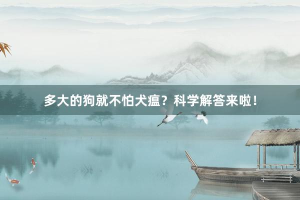 多大的狗就不怕犬瘟？科学解答来啦！