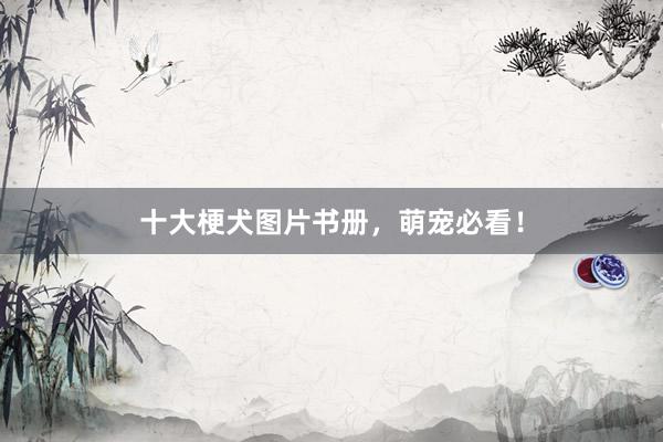 十大梗犬图片书册，萌宠必看！